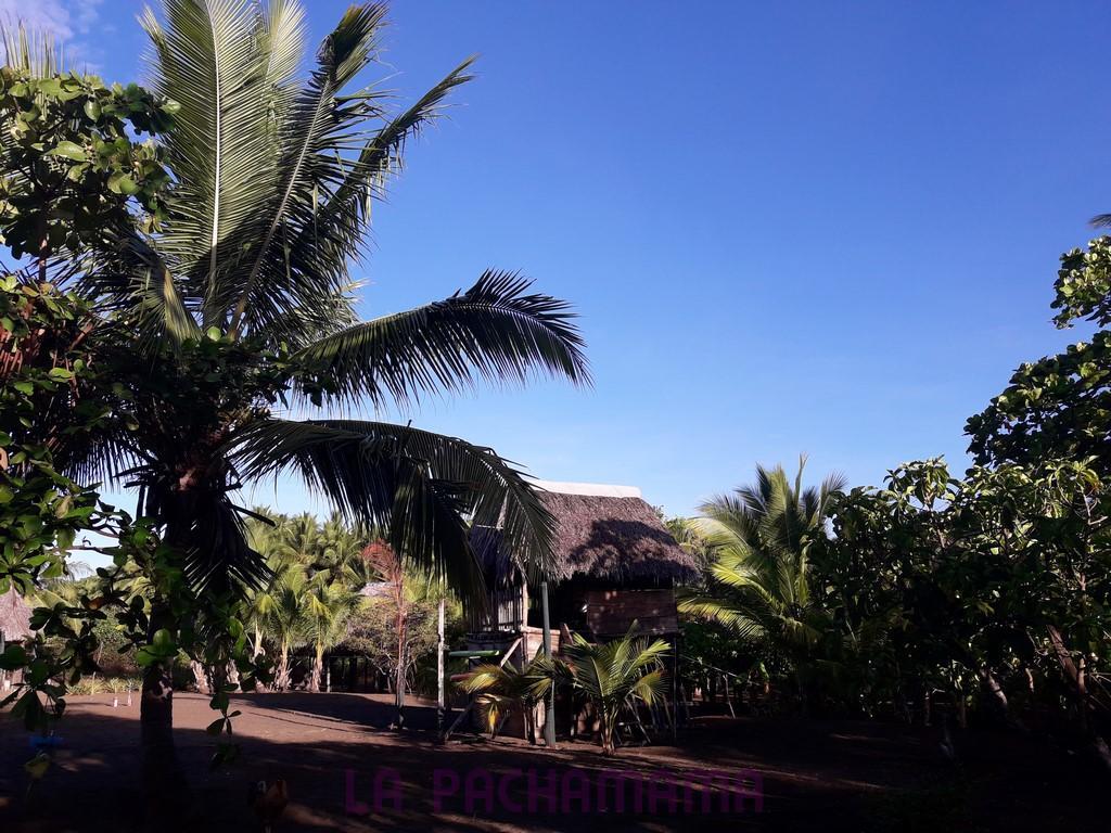 Hostal Pachamama Isla de Canas Exterior foto